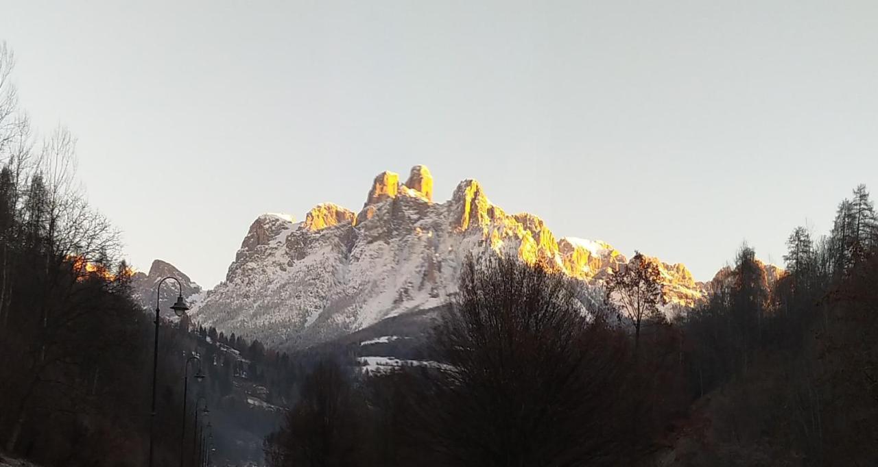 דירות מצאנו Casa Renzo - Dolomiti - Trentino מראה חיצוני תמונה