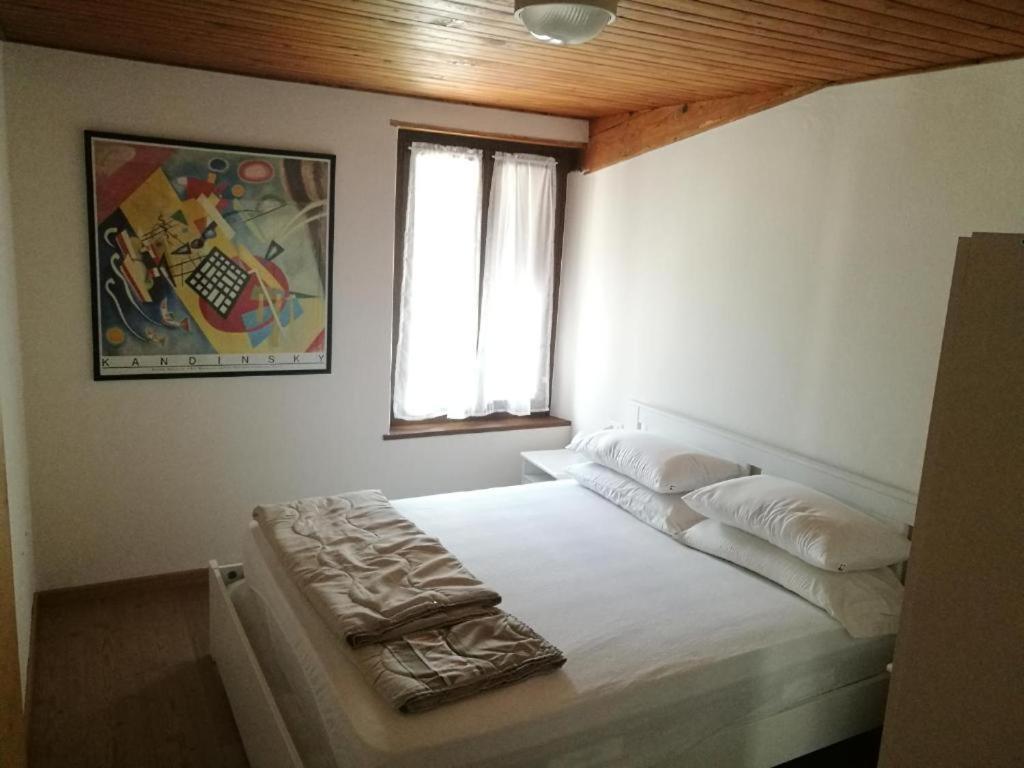 דירות מצאנו Casa Renzo - Dolomiti - Trentino מראה חיצוני תמונה