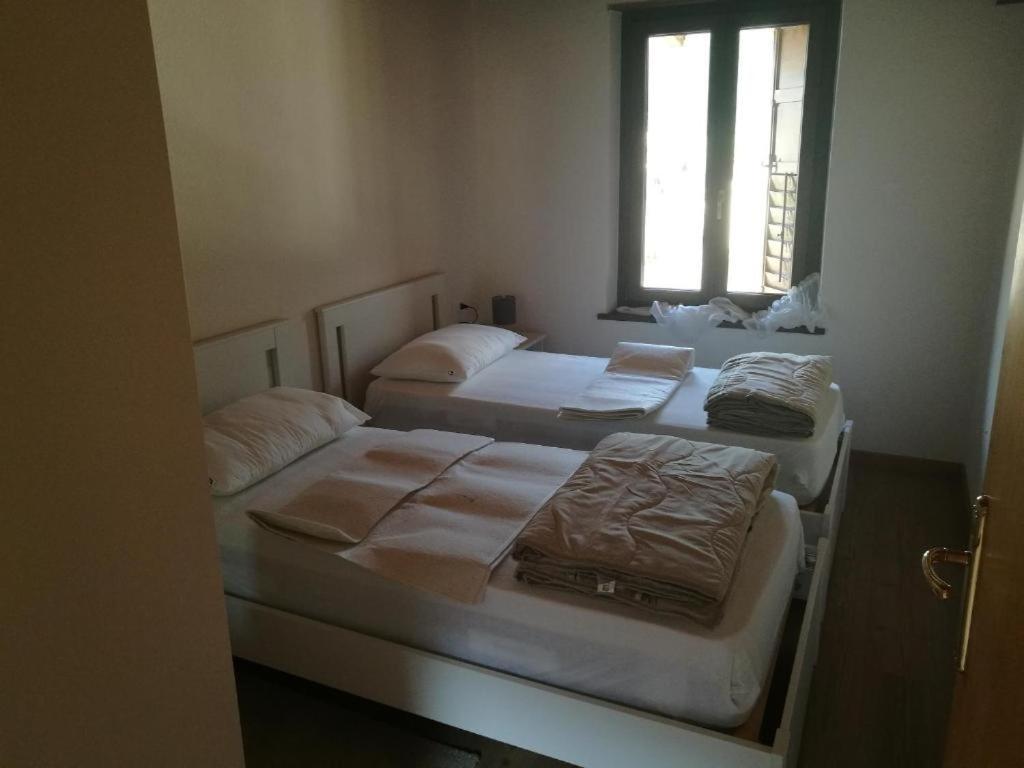 דירות מצאנו Casa Renzo - Dolomiti - Trentino מראה חיצוני תמונה